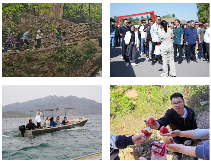 1747041590419872.png image.png